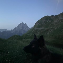 17.06.2022
