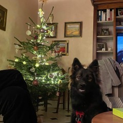 Noël 2021