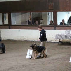22382344_1447894035263917_8918058514523797372_o