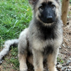 08.04.2012 - 3mois