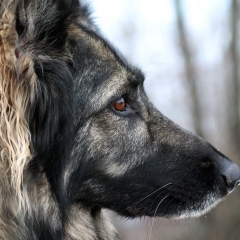 16.12.2018