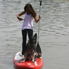11836924_10205475334181379_7131625566555261031_n