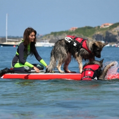 Olkya et Max