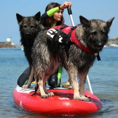 Max et Olkya
